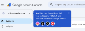 Discover how visitors find your Social Pages on Google Search | Trisha Sebastian The SEO Content Queen